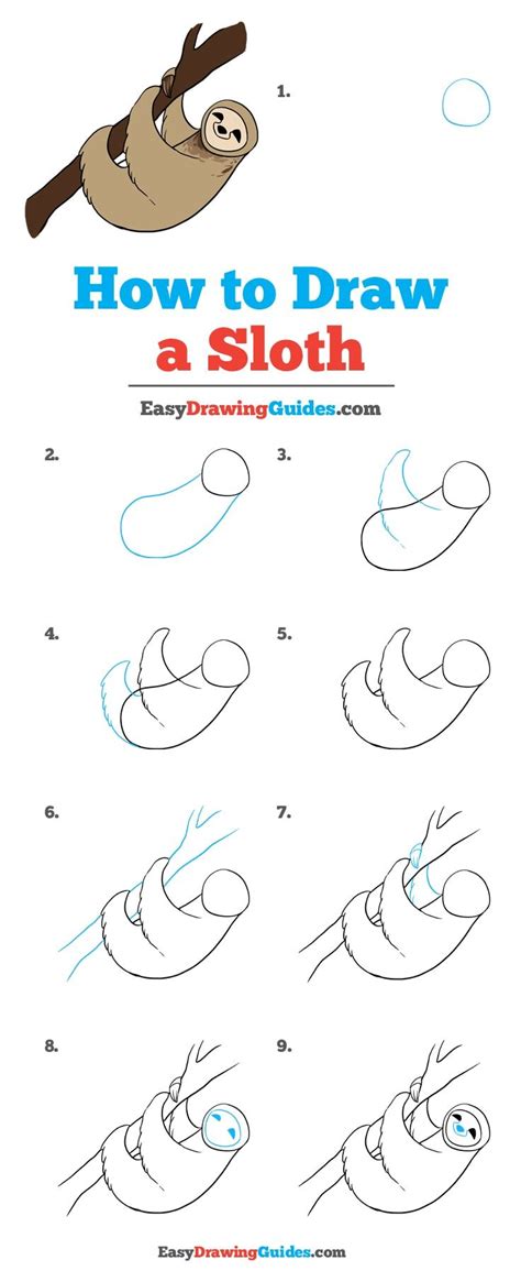 Follow these step by step frog drawing instructions step 1: Learn How to Draw a Sloth: Easy Step-by-Step Drawing ...