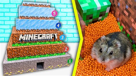 Hamster Vs Minecraft Pyramid Maze 5 Level Maze For Djungarian Hamster