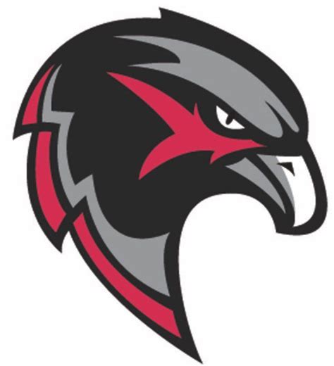 Black Hawk Bird Logo Logodix