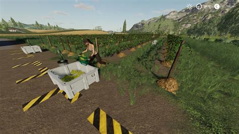 Vines Pack V10 Fs19 Farming Simulator 19 Mod Fs19 Mod