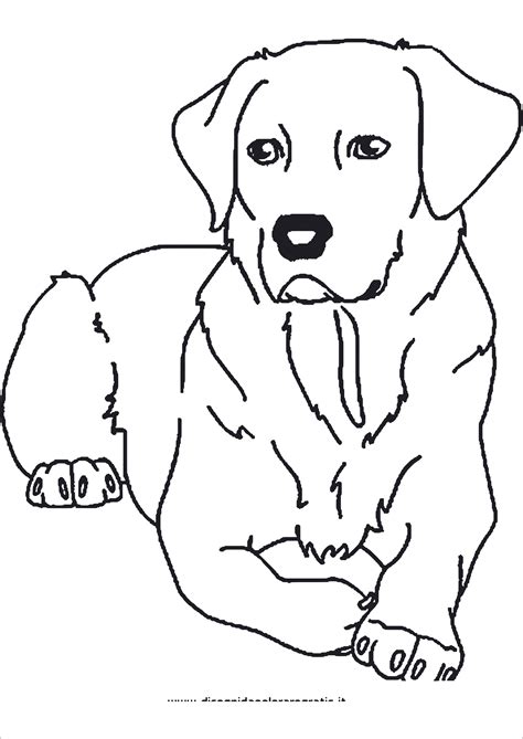 Hunde Ausmalbilder Ausmalbilder Hunde Hunde Tegning Dyr Tegninger Enkle