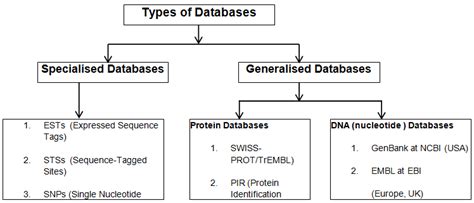 Database Definition In Bioinformatics Database Bosque