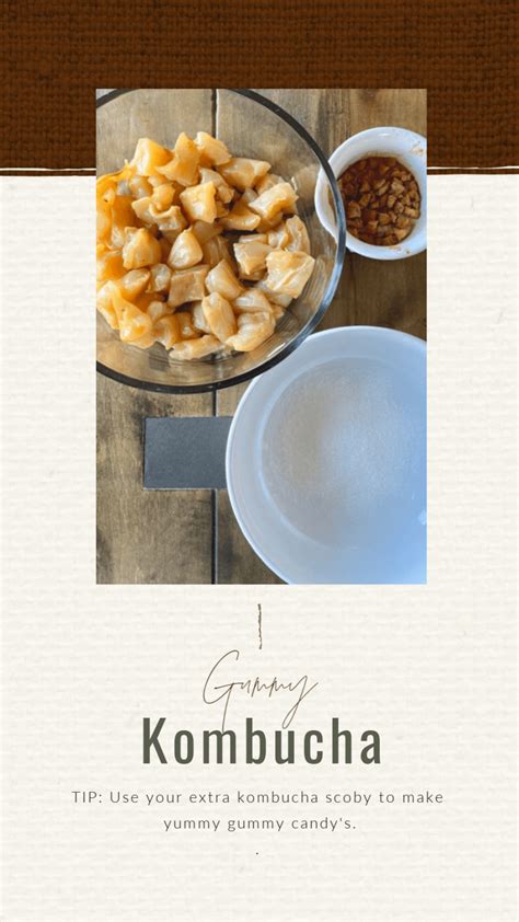 How To Make Kombucha Scoby Gummy Candies The Reaganskopp Homestead