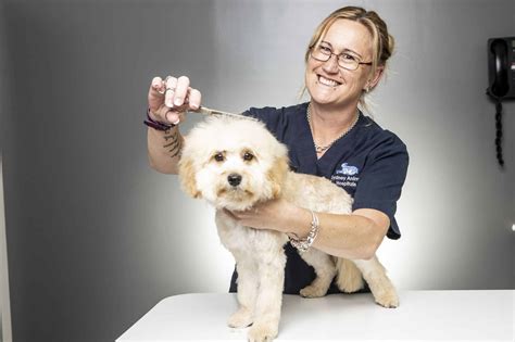 Dog Grooming Sydney Animal Hospitals