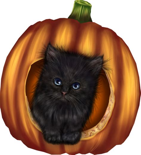 Forgetmenot Halloween Animals Cat Drawing Halloween Animals Black