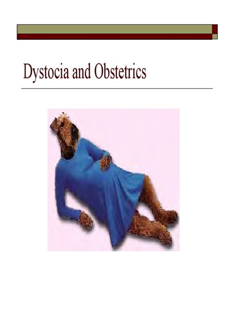 dystocia and obstetrics pdf uterus fetus