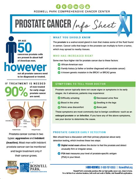 What Is Prostate Cancer Roswell Park Comprehensive Cancer Center