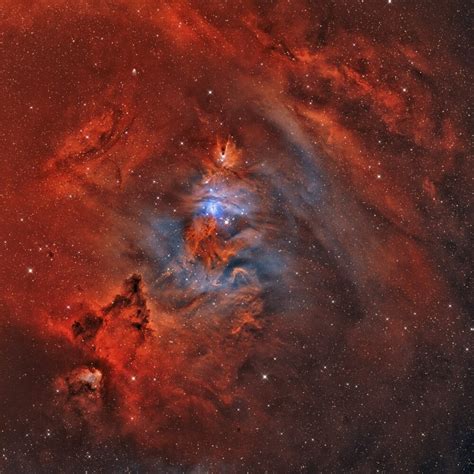 Ngc 2264 The Christmas Tree Nebula With Cone Nebula And
