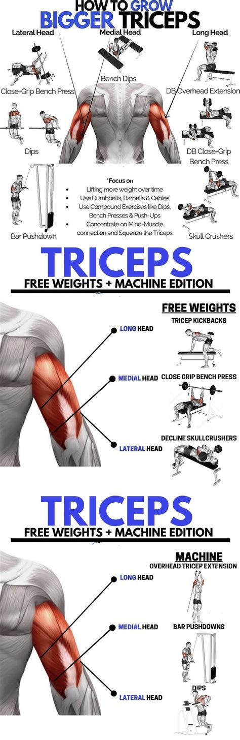 Best Triceps Exercises Rlovewithfitness