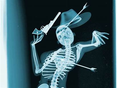 Ray Skeleton Illustration Folio Cowboy Anatomy Dusk