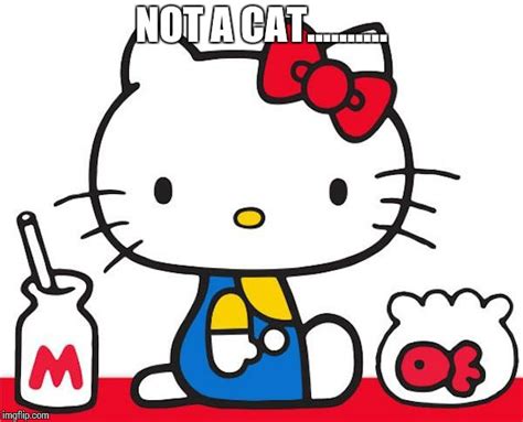 Not A Cat Hello Kitty Memes Imgflip