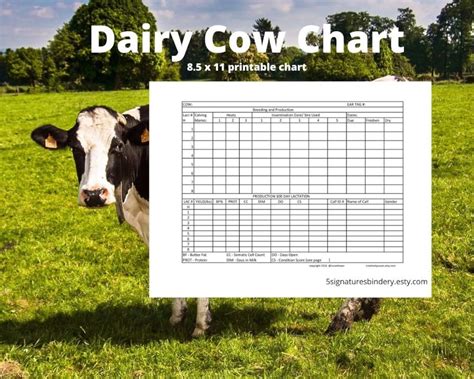 Dairy Farm Cow Lactation Chart Digital Copy Printable Etsy