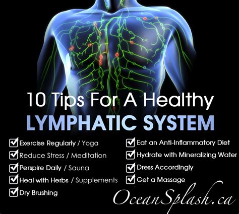 Pin By Ocean Splash Spa On Newsletters Healthy Lymphatic System
