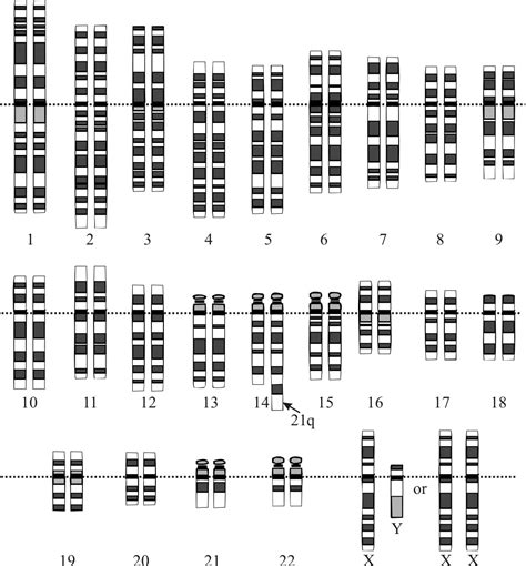 Changing Chromosome Numbers