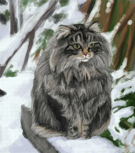 April 13th Cat Week Day 2 Norwegian Forest Cats Rsketchdaily