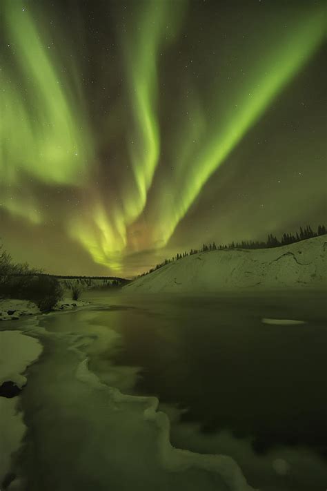 Aurora Borealis Over The Yukon Photograph By Robert Postma Fine Art