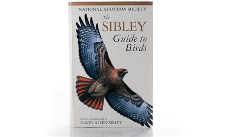 The Sibley Guide To Birds Review Points In Focus Photography