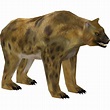 Nandi Bear (Z-Studio) | ZT2 Download Library Wiki | Fandom