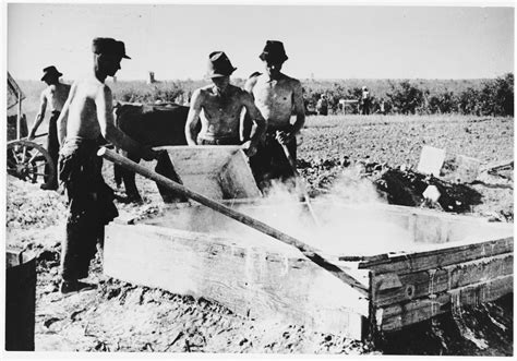 Prisoners At Forced Labor In The Jasenovac Iii Concentration Camp