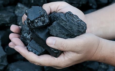 Carbomat Carbón Mineral Bituminoso Destaca Su Línea De Negocios De