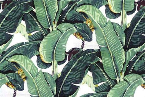 49 Banana Leaves Wallpapers Wallpapersafari