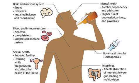 酒精：它如何影响您的身体