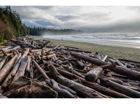 5 Of The Best Beaches In British Columbia Canadacom