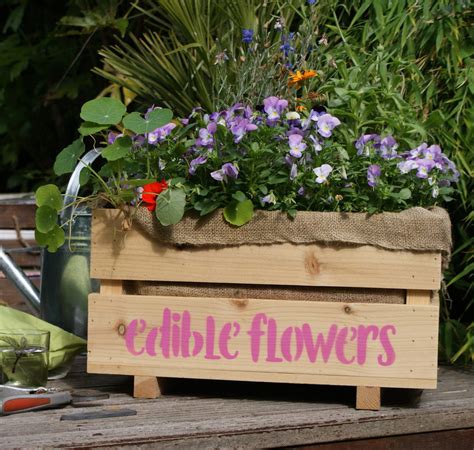 Grow Your Own Edible Flower Garden Planter And Grow Kit By Plant And