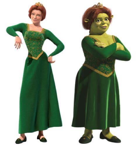 Princess Fiona Shrek Princess Fiona Shrek Halloween Costume Fiona