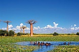 Madagascar, la gran isla del Índico - Passport Travel Magazine