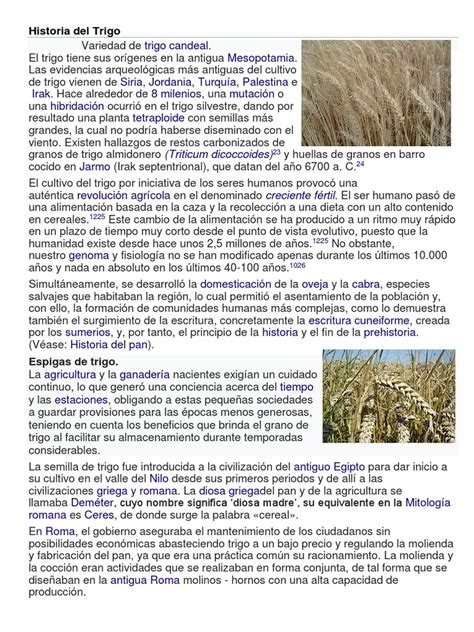 Historia Del Trigo Pdf Trigo Cereales
