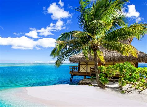 Palm Trees Beach Sea Clouds Tropical Summer Vacations Bora Bora
