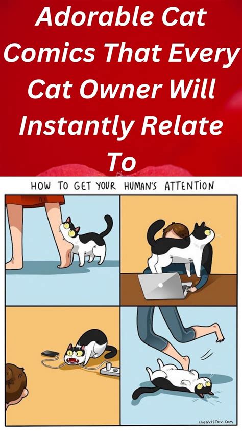 Adorable Cat Comics That Every Cat Owner Will Instantly Relate To Artofit