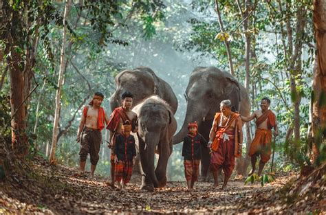 Homem E Crianças Entrando Na Selva Com O Elefante Momentos Do Estilo De Vida Do Norte Da