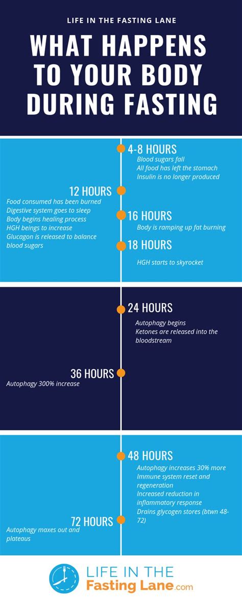 Pin Auf Intermittent Fasting