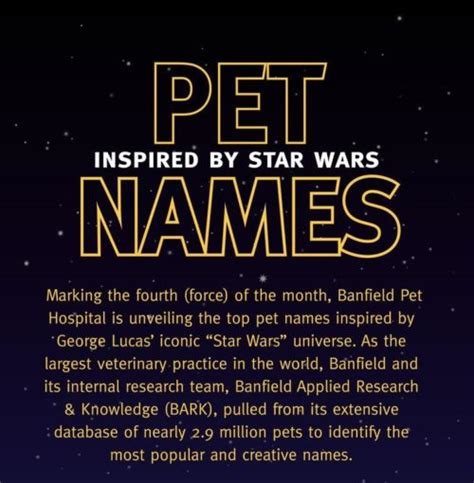 The Top Star Wars Inspired Dog Names
