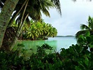 20 Mind-Blowing Facts about Palmyra Atoll
