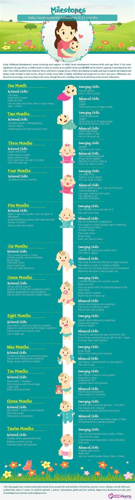 Your Babys Developmental Milestones 0 12 Months Baby Milestones