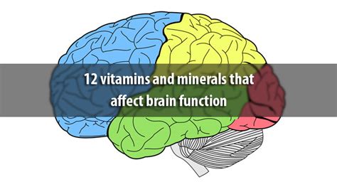 12 Vitamins And Minerals That Affect Brain Function