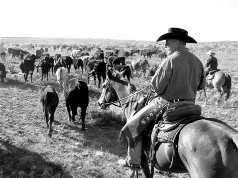 The History Of Cattle Drives Whenever The Nort