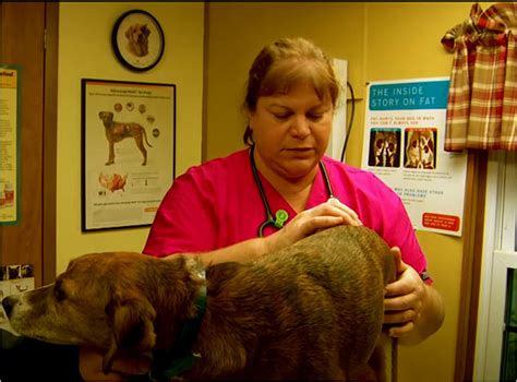 Here Is What Happened To Dr Brenda On The Incredible Dr Pol Alaska TV Shows