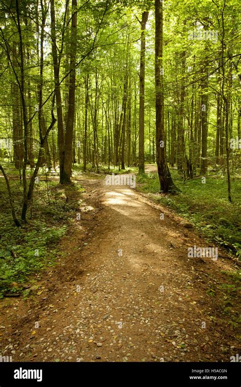 Dirt Trail Track Path Hi Res Stock Photography And Images Alamy