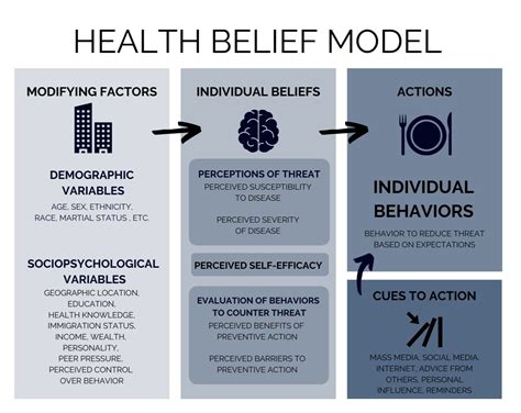 Health Belief Model Infographic My Xxx Hot Girl