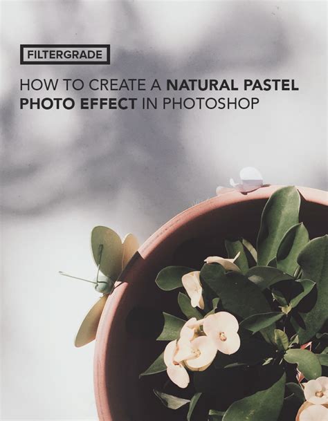 How To Create A Natural Pastel Photo Effect In Photoshop Filtergrade