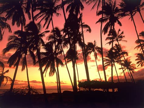 41 Hawaiian Sunset Wallpaper On Wallpapersafari