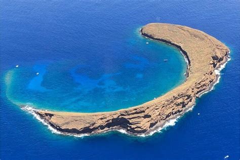 Maui Molokini Crater And Turtle Town Half Day Snorkeling Trip 2024