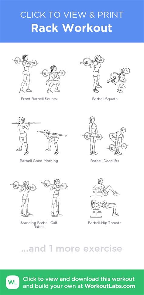 Full Body Squat Rack Workout