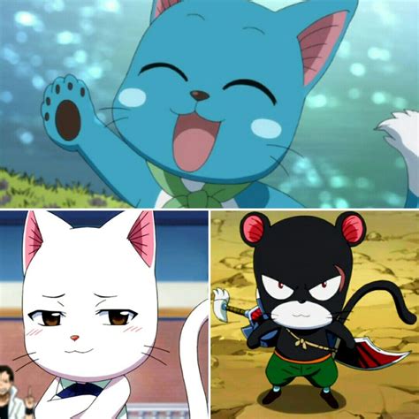 Feb 08, 2021 · ranking every netflix original movie: Happy,Carla, and PantherLily | Fairy tail anime, Fairy tales, Fairy tail