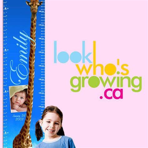 New Age Mama Look Whos Growing Review And Giveaway