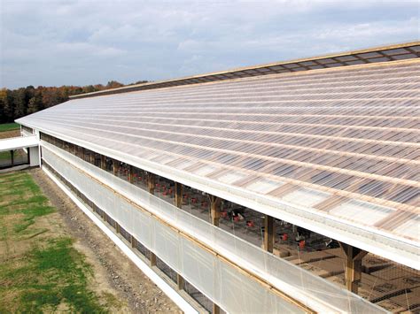 Shed Light On Livestock With Sunsky® Clear Roof Panels Diy